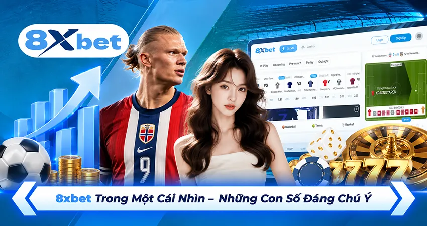 Những con số đáng chú ý của 8xbet